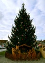 Christmass tree on the town square.. Royalty Free Stock Photo