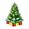 Christmast tree Royalty Free Stock Photo