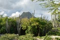 Christoffel National park - old volvano Royalty Free Stock Photo