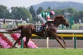 Christophe Lemaire at Tokyo Racecourse, Japan Royalty Free Stock Photo