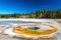 Chromatic Pool Landscape View