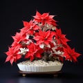 Chromatic Purity: Detailed Poinsettia Bonsai With Red Blossoms