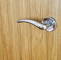 Chrome door handle