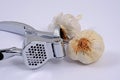 Chrome garlic press and garlic bulbs. Royalty Free Stock Photo
