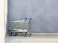 Chrome shopping carts