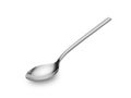 Chrome spoon