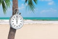 Chrome Stopwatch Hanging on a Palm Tree on an Ocean Beach. 3d Rendering