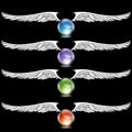 Chrome Wing Set Royalty Free Stock Photo