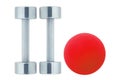 Chromed fitness dumbbells and red ball isolated on white