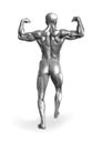 Chromeman_Body Builder Royalty Free Stock Photo