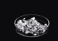 Chromium fragments, industrial use ore, metallic chemical element, isolated on black background inside a petri dish