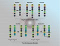 Chromosomal abnormalities Royalty Free Stock Photo