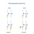 Chromosomal mutation: Inversion, Duplication, Translocation, Deletion