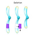 Chromosome Deletion. Genetic mutation Royalty Free Stock Photo