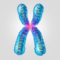 Chromosome Genetic DNA