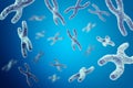 Chromosomes on blue background, scientific concept 3d illustration Royalty Free Stock Photo
