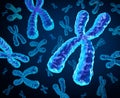 Chromosomes Royalty Free Stock Photo