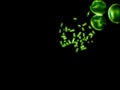 Chromosomes under fluorescence microscope, green colored Human chromosomes from blood