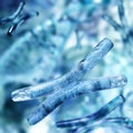 Chromosomes, X chromosome close up on a blurred background, human genome, 3d rendering