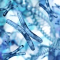 Chromosomes, X chromosome close up on a blurred background, human genome, 3d rendering Royalty Free Stock Photo