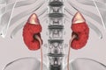 Chronic kidney disease