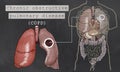 Chronic Obstructive Pulmonary Disease with Lungs