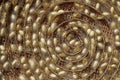 Chrysalis yellow silkworm cocoons in nests Royalty Free Stock Photo