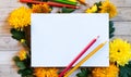 Chrysantemum autumn bouquet with pencils copy space blanc paper colored colorful mock up