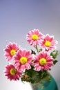 Chrysantemum bouquet in the glass bowl