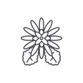 Chrysantemum line icon concept. Chrysantemum flat vector sign, symbol, illustration.