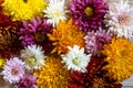 Chrysantemum autumn bouquet love heart colored