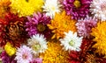 Chrysantemum autumn bouquet love heart colored