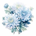 Chrysanthemum Arrangement Watercolor Clipart - Blue Hues, Meticulous Design Royalty Free Stock Photo