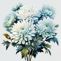 Chrysanthemum Arrangement: Watercolor Clipart With Teal Blue Hues Royalty Free Stock Photo