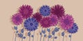 Chrysanthemum and aster autumn flowers header Royalty Free Stock Photo