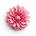 Chrysanthemum 3d Icon: Cartoon Clay Material With Nintendo Isometric Spotlight