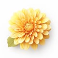 Chrysanthemum 3d Icon: Cartoon Clay Material With Nintendo Isometric Spotlight