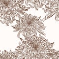 Chrysanthemum flower brown sepia outline seamless pattern on beige background.