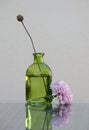 Chrysanthemum flower and dried wildflower