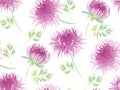 Chrysanthemum flower seamless pattern Royalty Free Stock Photo