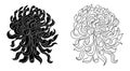 Chrysanthemum flower vector illustration for tattoo or printing on background.Design for tattoo style on isolated white background Royalty Free Stock Photo