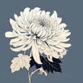 Minimalistic Chrysanthemum Vector Drawing With Dark Sky-blue And White