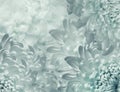 Chrysanthemum flowers. light turquoise background. floral collage. flower composition. Close-up.