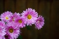Chrysanthemum flowers. Pink flowers with a yellow center. Sort of carnival. Bouquet of chrysanthemums close-up