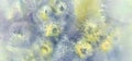 Chrysanthemum flowers watercolor background. Abstract salt made marble background.