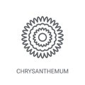 Chrysanthemum icon. Trendy Chrysanthemum logo concept on white b