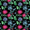 Chrysanthemum seamless pattern on a black background, watercolor