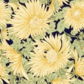 Chrysanthemum. Seamless pattern of yellow Japanese chrysanthemum