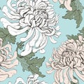 Chrysanthemums on blue gentle seamless pattern. For fabric and silk, Japanese chrysanthemum endless botanical ornament