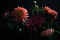 Chrysanthemums close-up dark romantic background. Flowers wallpaper. Royalty Free Stock Photo